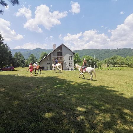 Apartament Pine Corner Mojkovac Zewnętrze zdjęcie