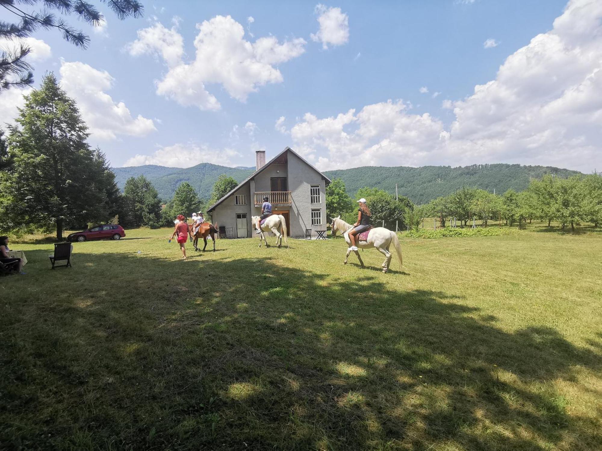 Apartament Pine Corner Mojkovac Zewnętrze zdjęcie